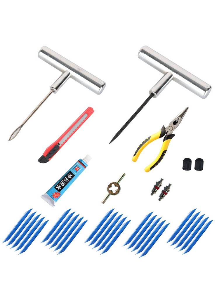 Equipment for a car with an electric vehicle sulphate platinum plating car with a removable foetal evacuator