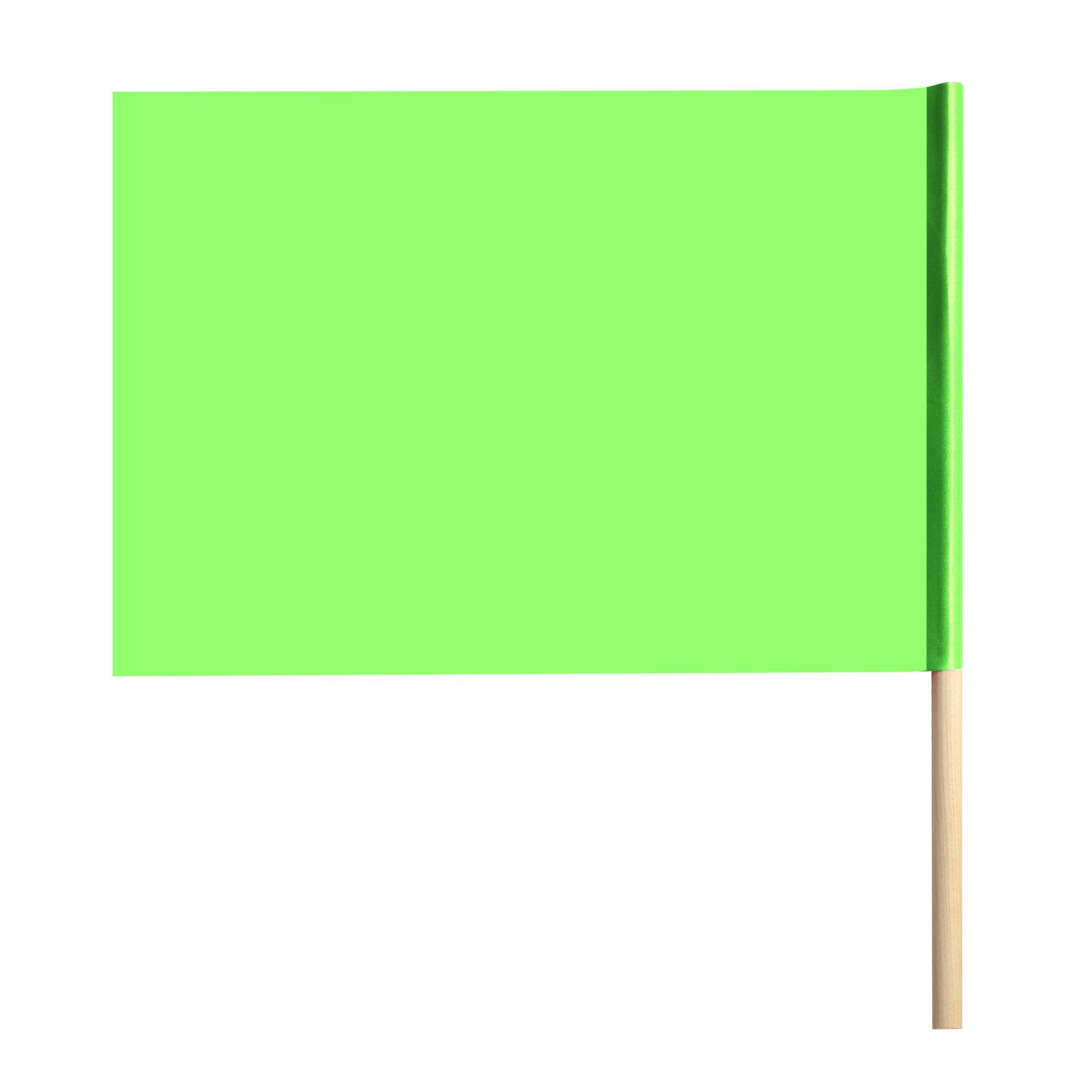 Children's flags — green