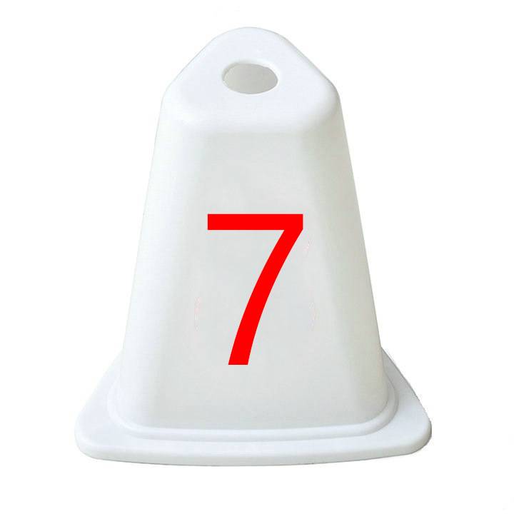 Domain 7