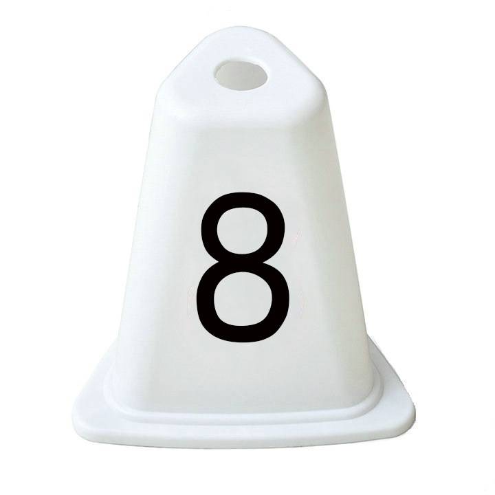 Dojo #8