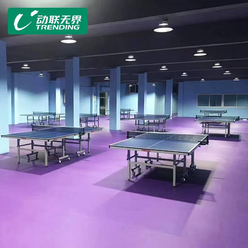 Badminton ground rubber room badminton ground rubber pad intensive non -slip PVC basketball court ping -ping court sports ground pad