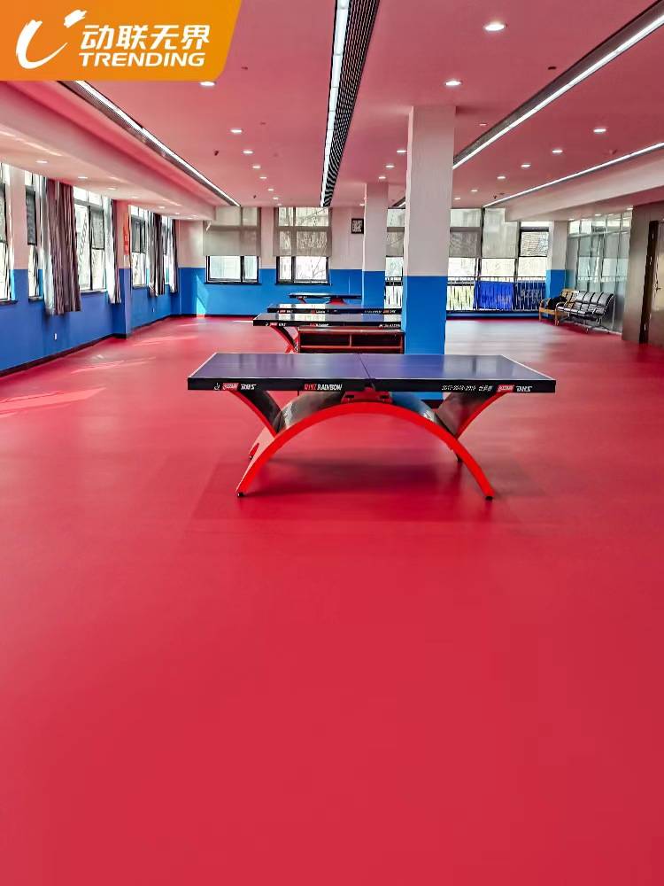 Table Tennis Plazio Gas Dedicated Field Earth Hall Anti -Smooth wear -resistant PVC Sports Gender Gymnasium Plastic Cushion