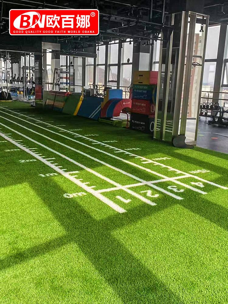Comprehensive La practice area-casual grass 20 grass high height