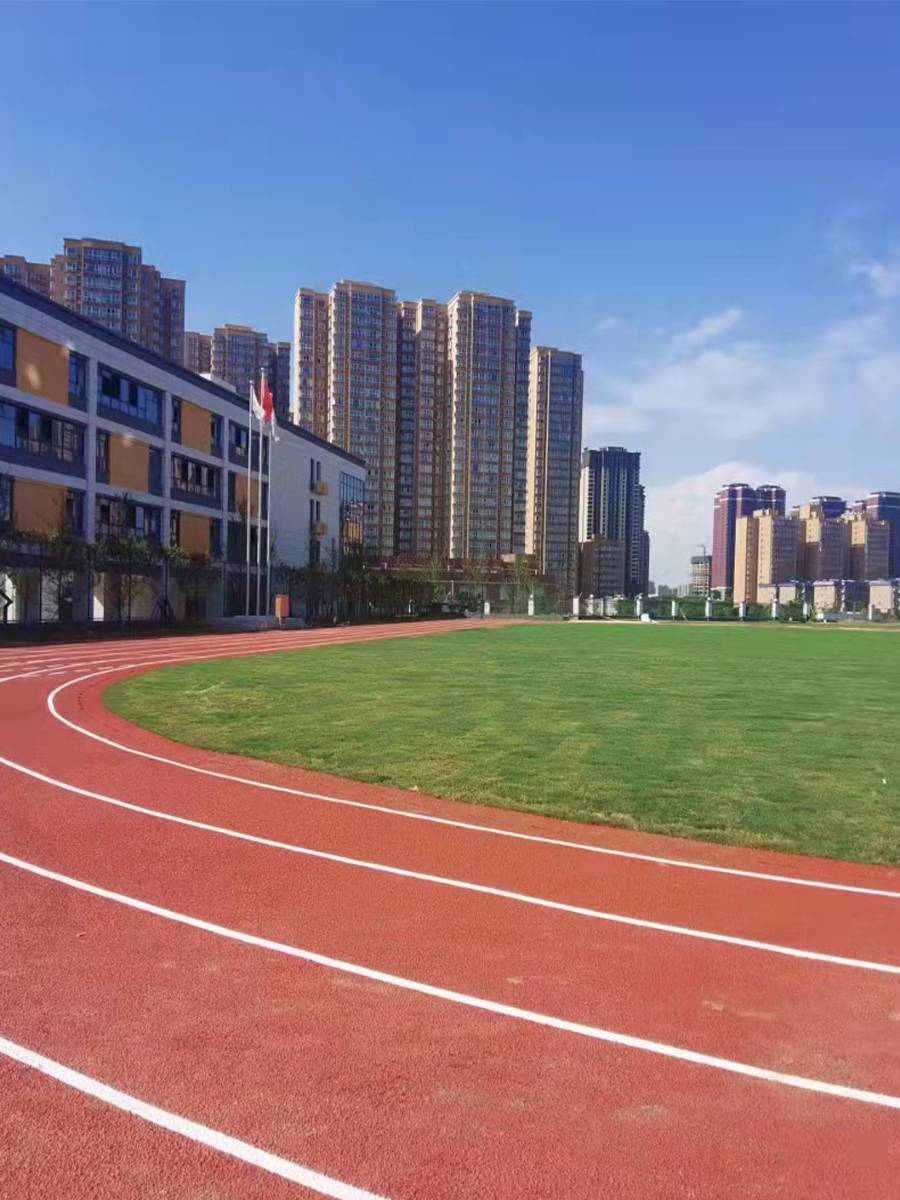 School Plastic Runway Playground Stadium Stadium Children's Kindergarten EPDM Rubber Colored Granules Construction