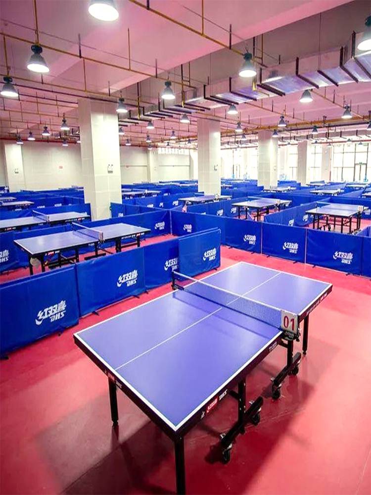 Table Tennis Geese Platform Badfall Play Plum Basketball Place Cushion Dance Room indoor outdoor PVC Sports Floor