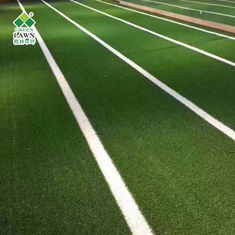 White-lined track lawn