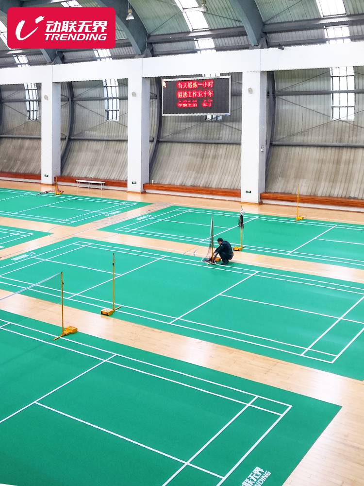 Dynamic Union Unblied Badminton Pinerium Place Admiral Indoor and Overseas Sports Gel Basis PVC Vanades Ball Badminton Place