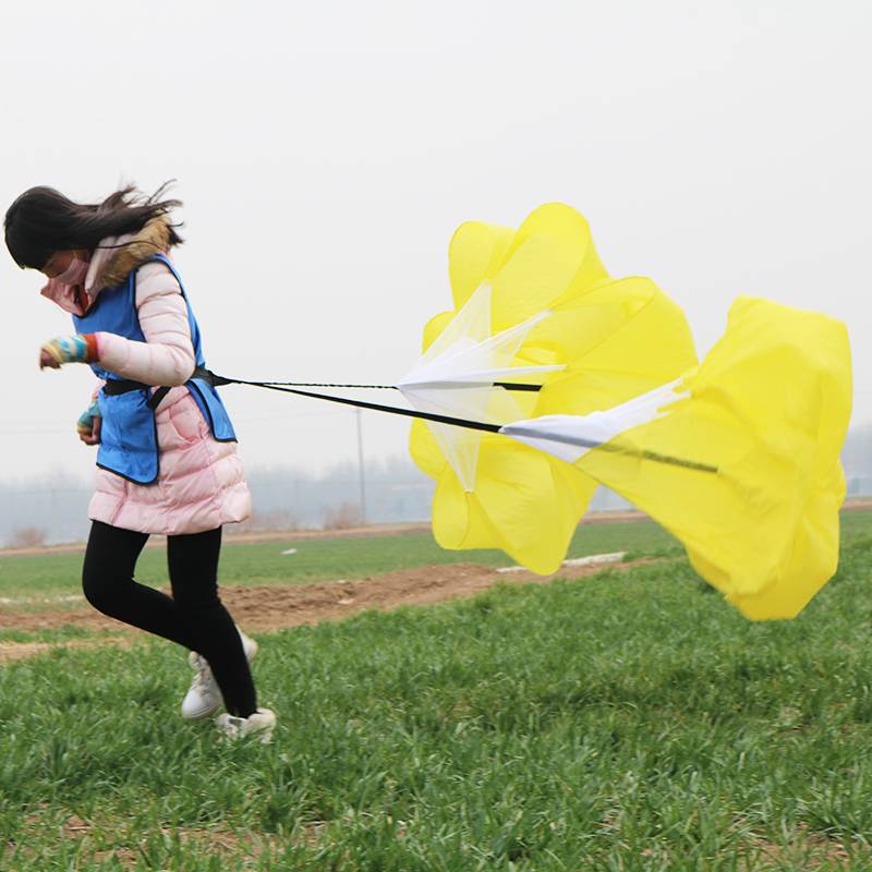 Yellow (double umbrella) contains a collection bag