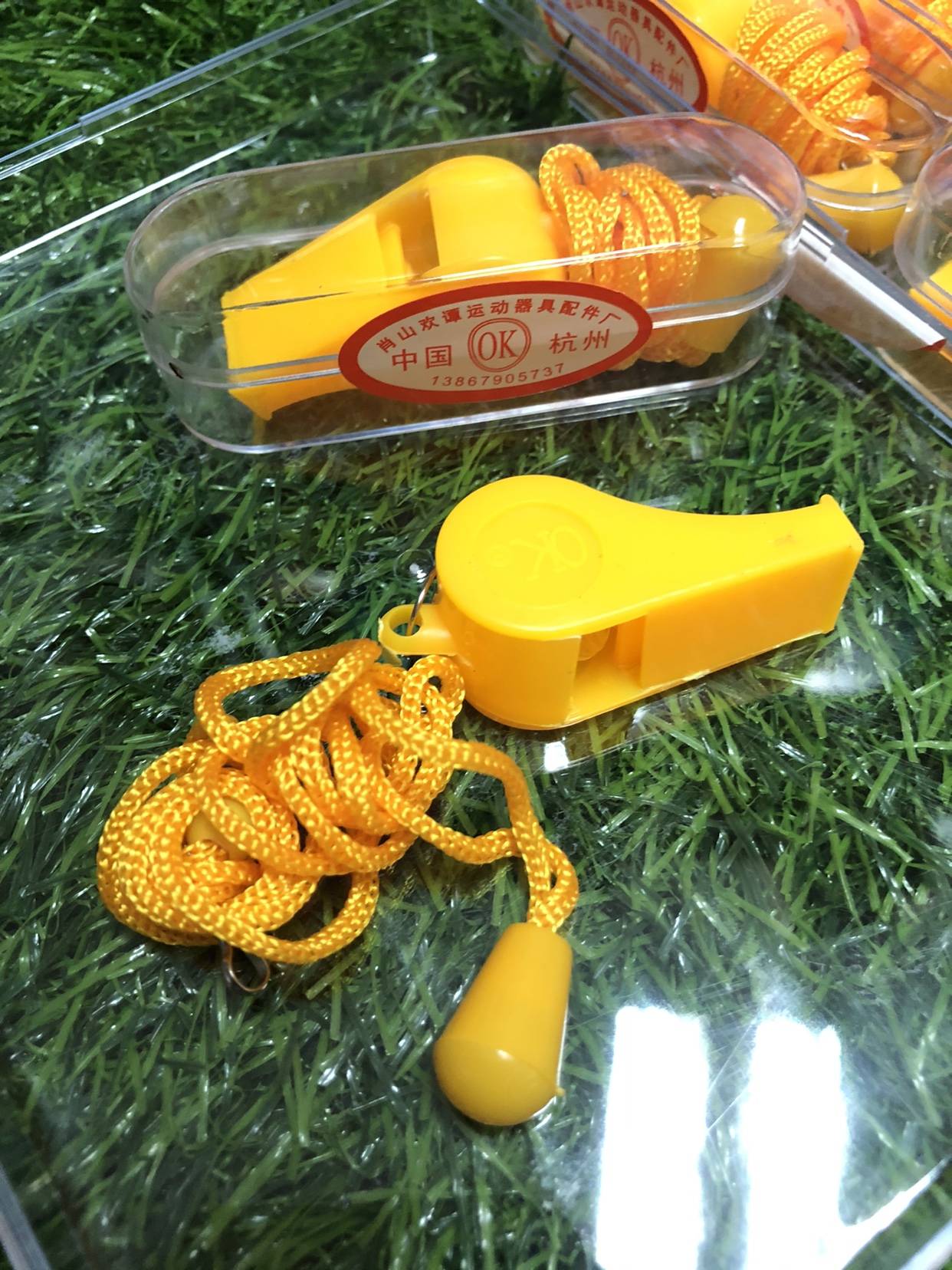 Plastic whistle (1)