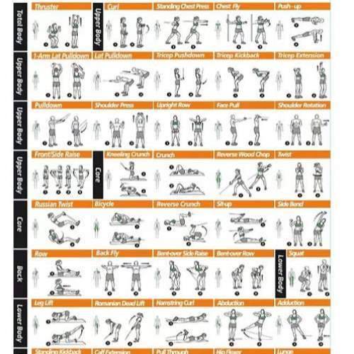 manual