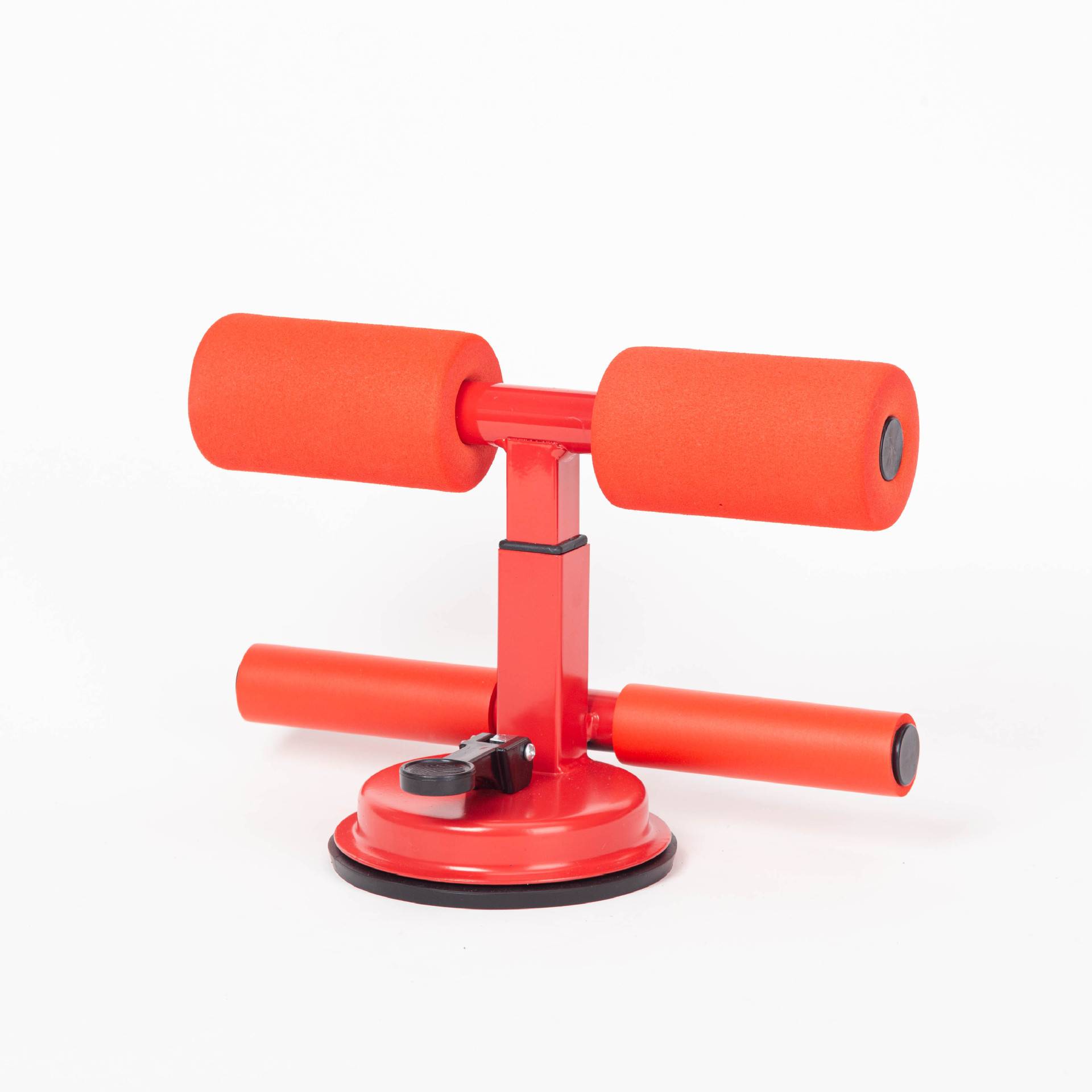 Red double bar round abdomen