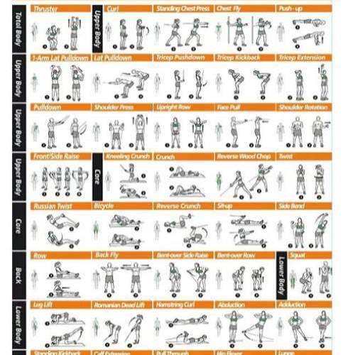 manual