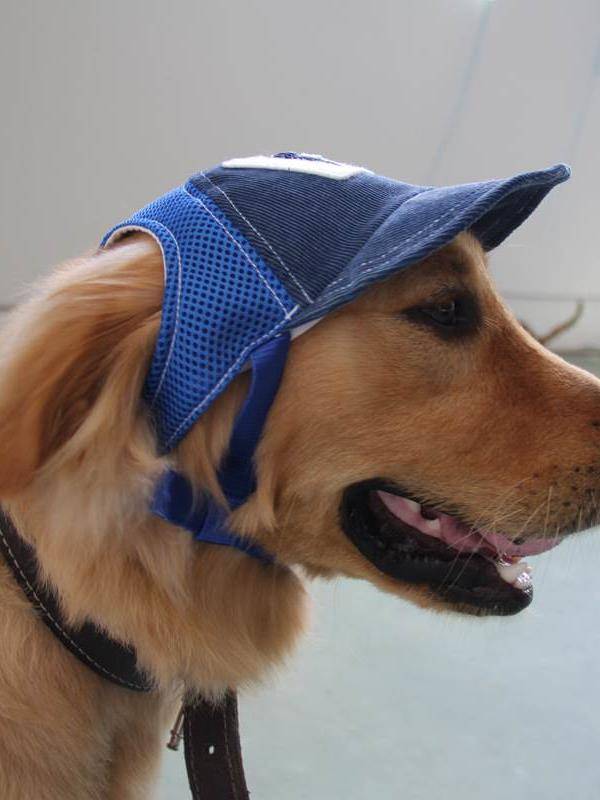 Pet hat Summer shading sun hat teddy golden hair dog baseball hat Pet products cat hat hair accessories