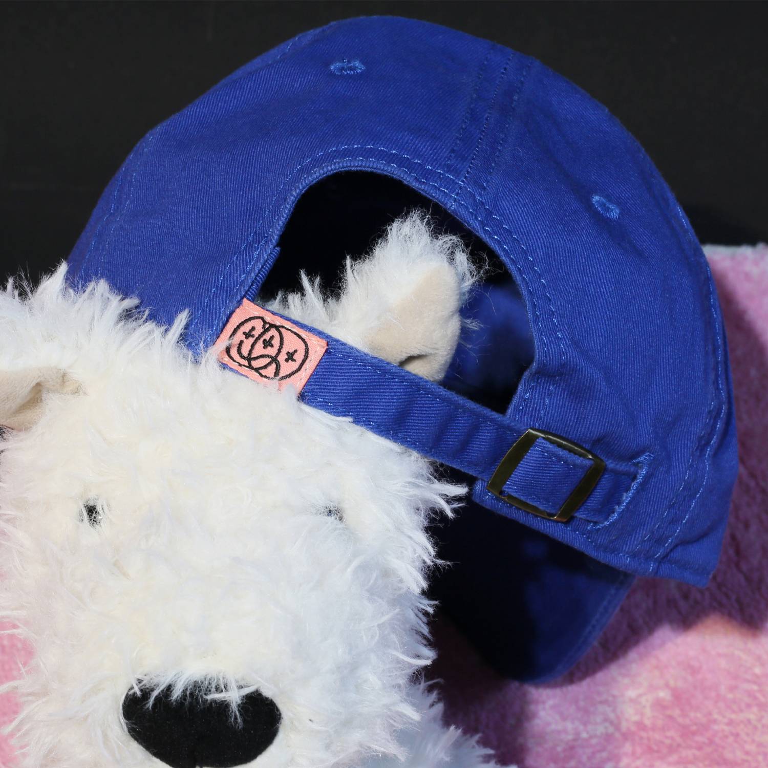 saccherkele burns pure baseball hat with blue street blood