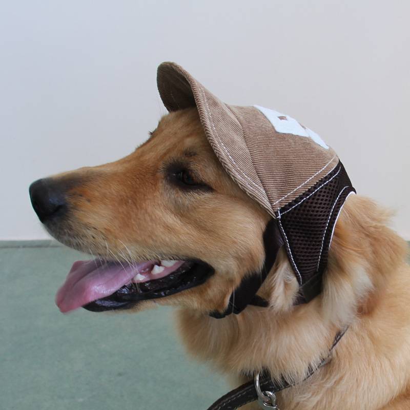 Pet hat Summer shading sun hat teddy golden hair dog baseball hat Pet products cat hat hair accessories