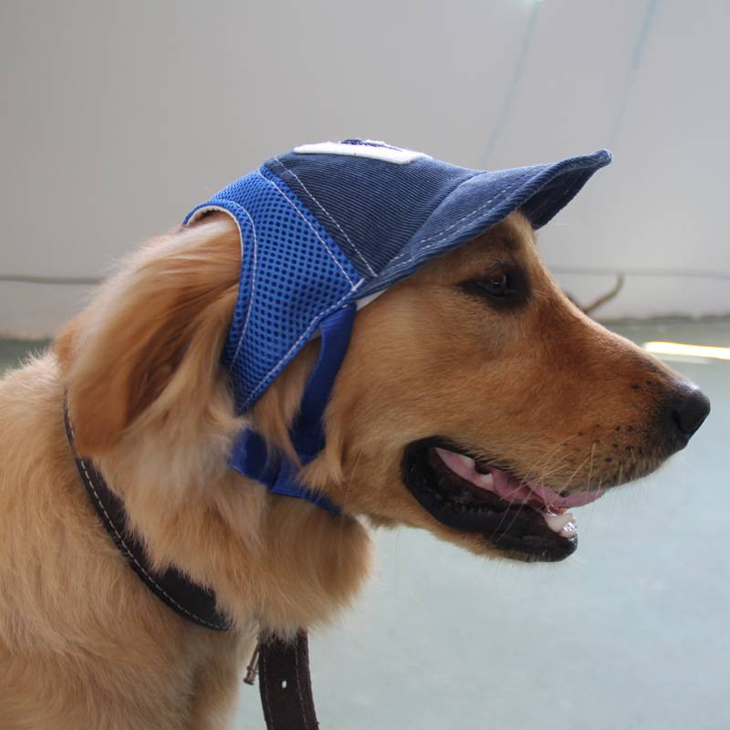 Pet hat Summer shading sun hat teddy golden hair dog baseball hat Pet products cat hat hair accessories