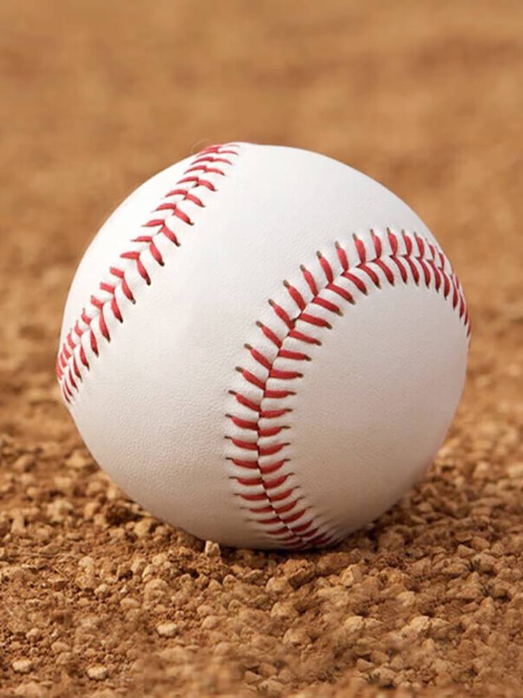 Special 10 -inch Bar Ball Baseball Test Standard Training Soft Ball for Barball Elementary Students Special Game
