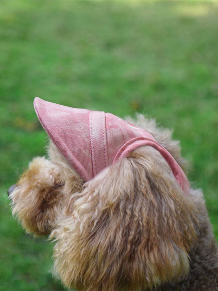 Tailing Pet Hat Dog Dog Glogs Duck Tongue Hat Master Baseball Hat Cat Deloly Ear Hat Brey Hat Four Seasons