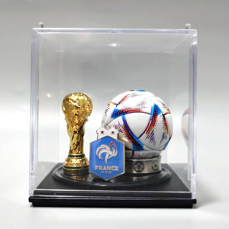 France (World Cup)