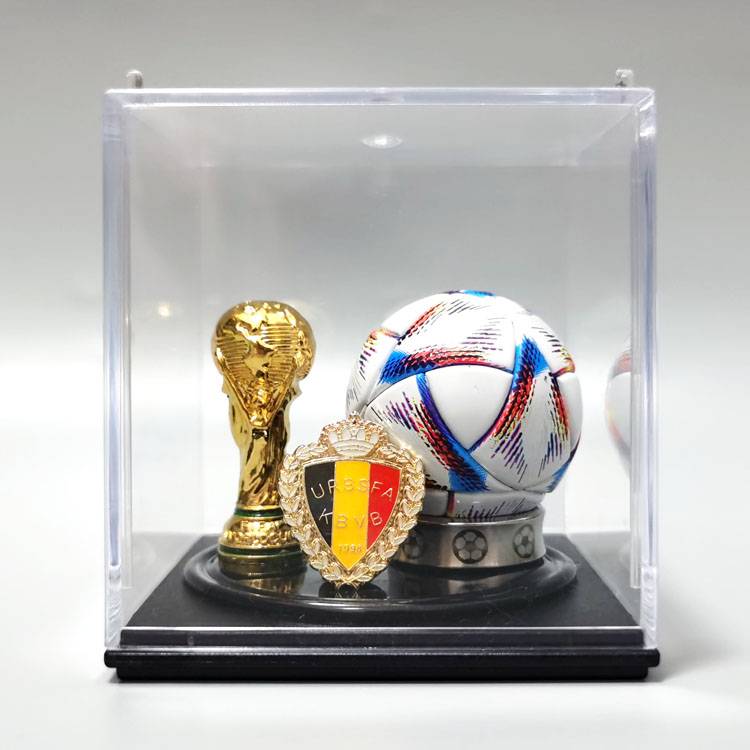 Belgium (World Cup)