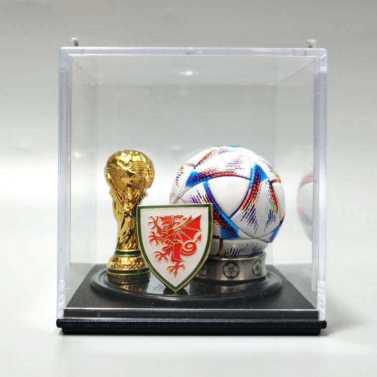 Wales (World Cup)