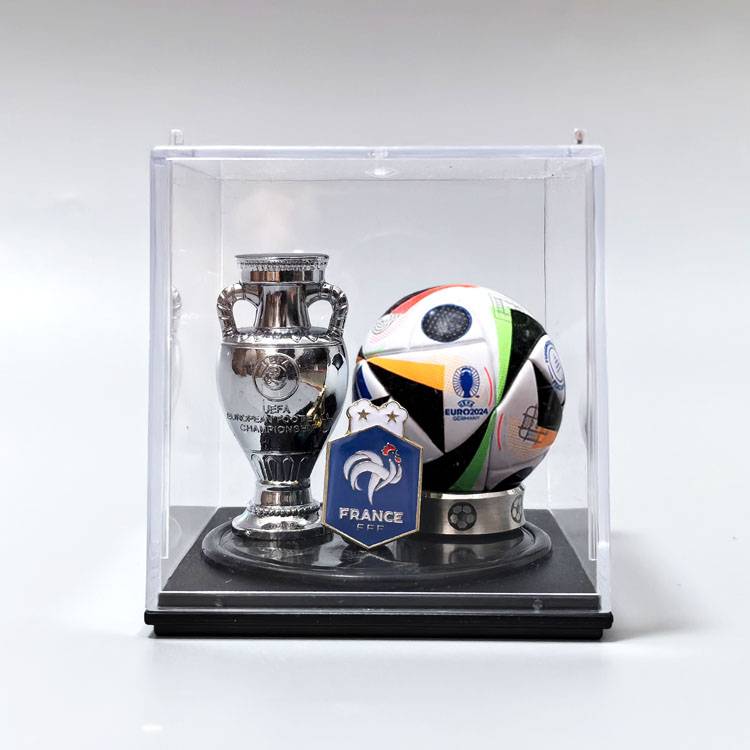 France (European Cup)