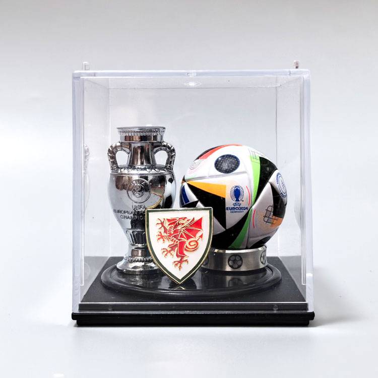 Wales (European Cup)