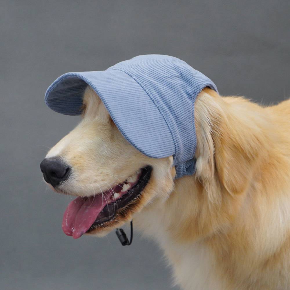 Summer dog sunscreen cap baseball cap leaking ears golden retriever dog hat large dog pet dog hat