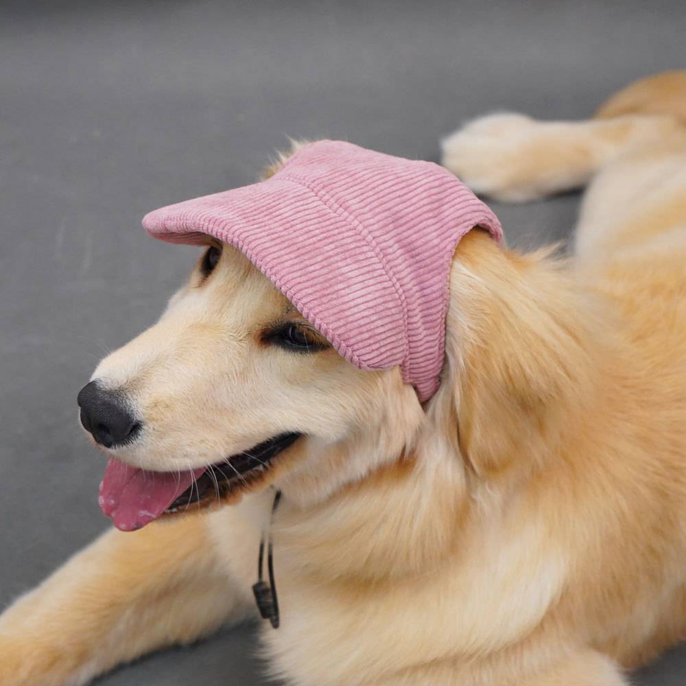 Summer dog sunscreen cap baseball cap leaking ears golden retriever dog hat large dog pet dog hat