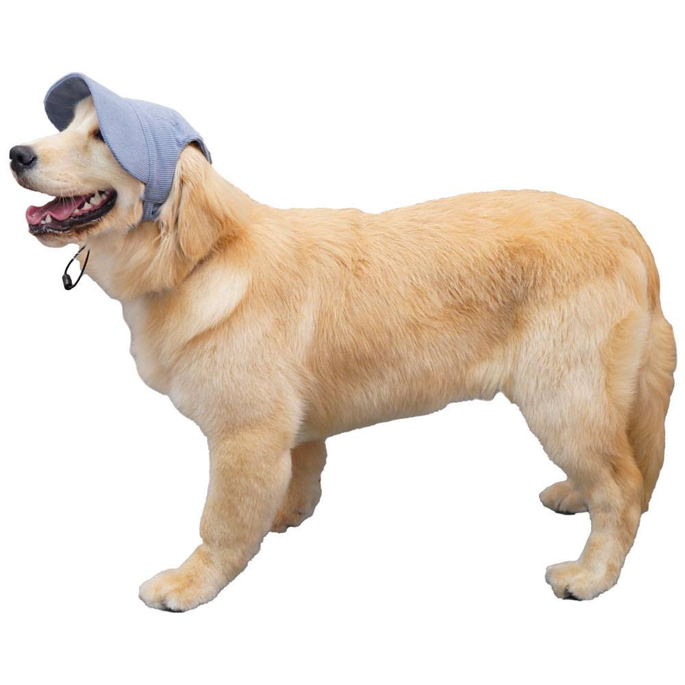 Summer dog sunscreen cap baseball cap leaking ears golden retriever dog hat large dog pet dog hat