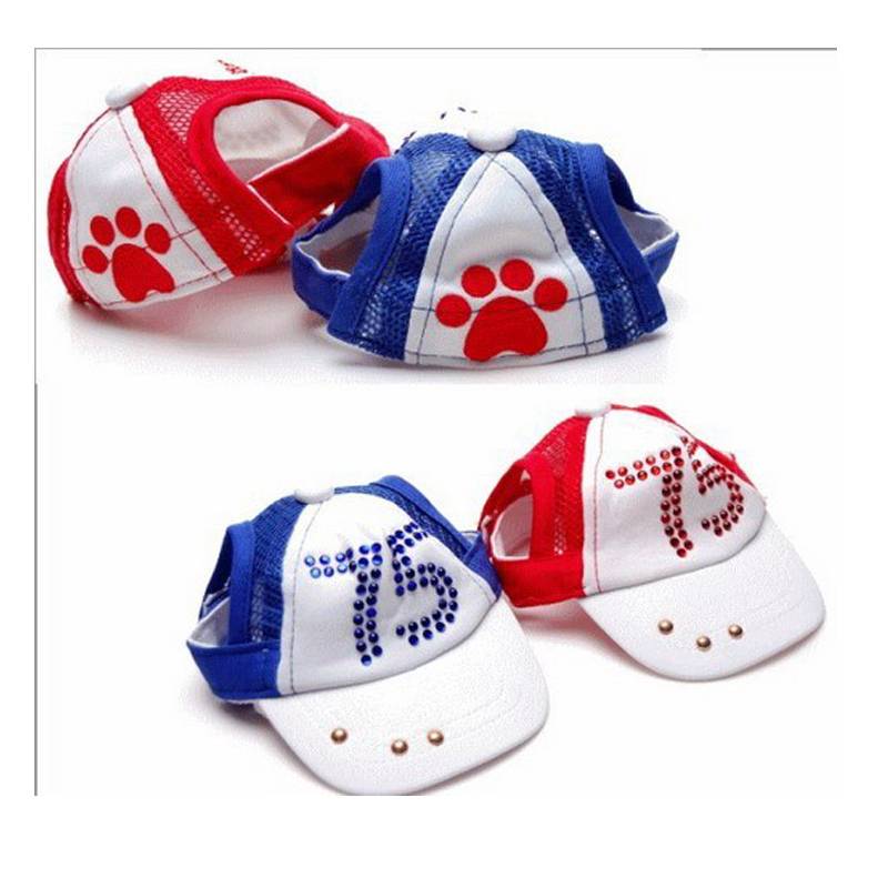 Doug's pet dog hat, Teddy's little dog
