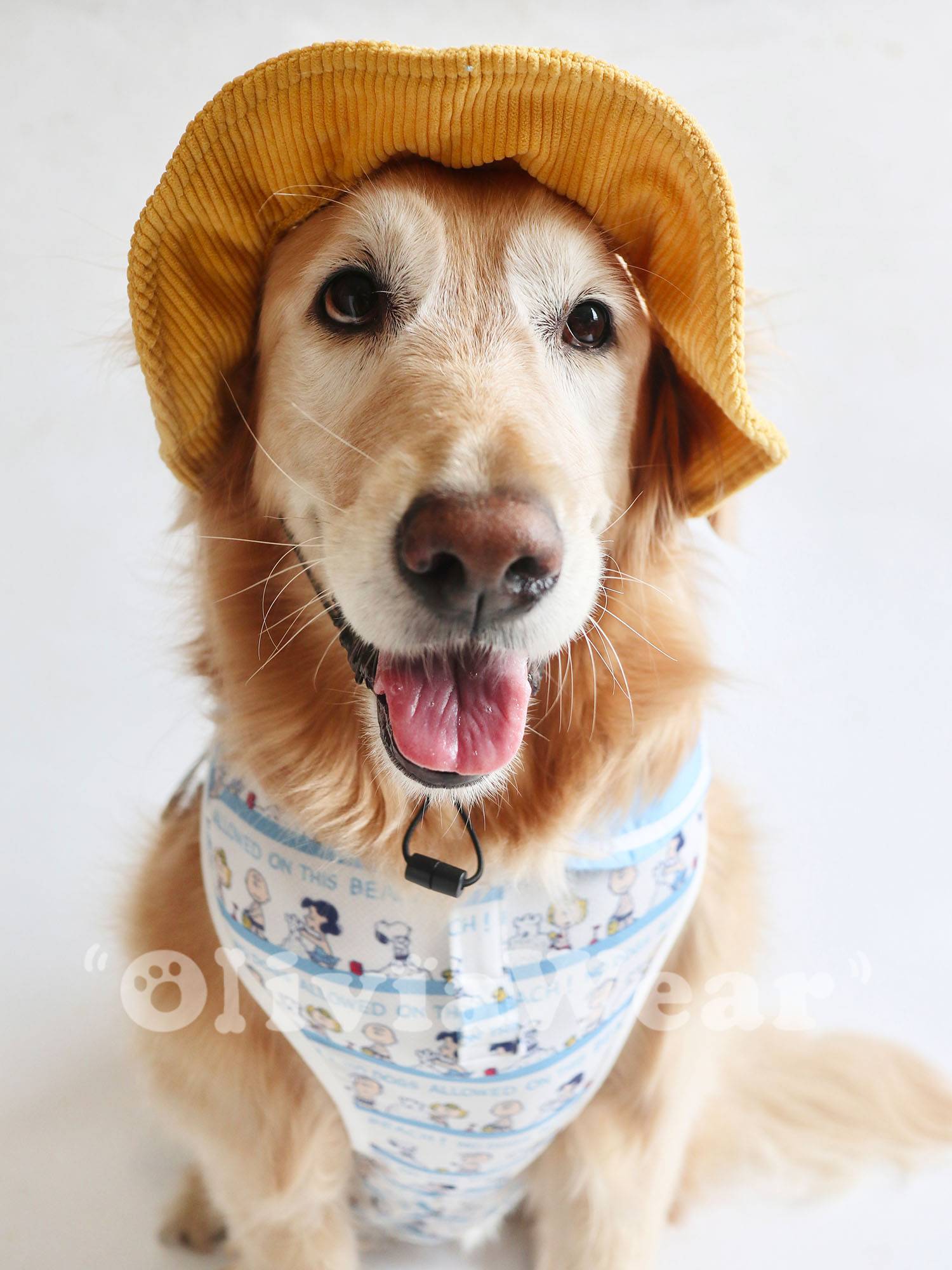 Fashion puppy Golden Mao Teddy Corki cute dressing fisherman hat baseball cap sunscreen pet supplies new products