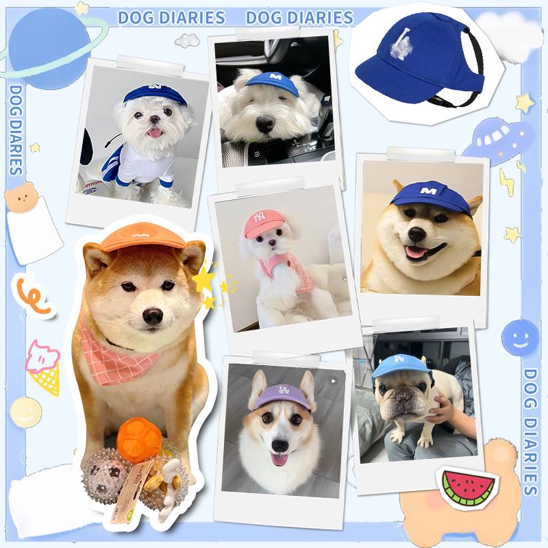 Dog hat, Corki puppy pet exposure ears, summer baseball caps special sun sunscreen cap