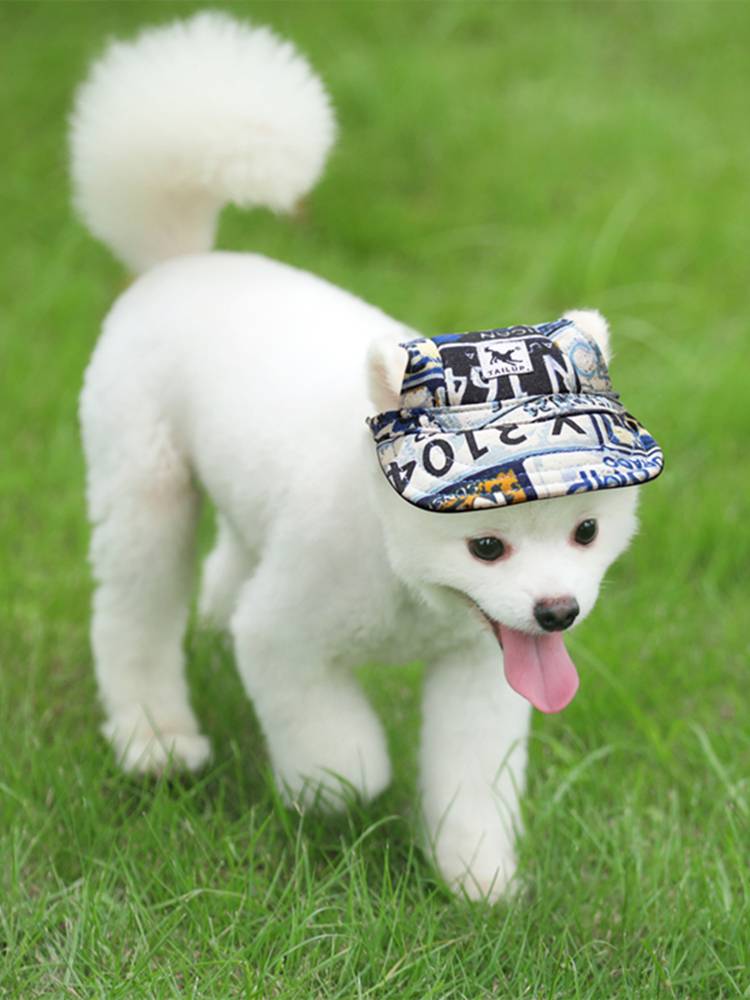 New pet baseball hat Breda hat Mushy hat exposed ears dog hat cat outdoor outdoor outdoor pet supplies