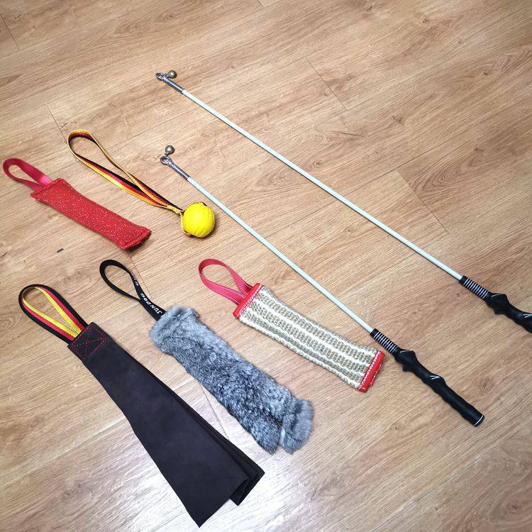 Dewa Dog Dog Dog Training Dog Training Teaming Ping Rod Interactive Toys Cowing Bite Foods Bite Bar Bar Bar Bite