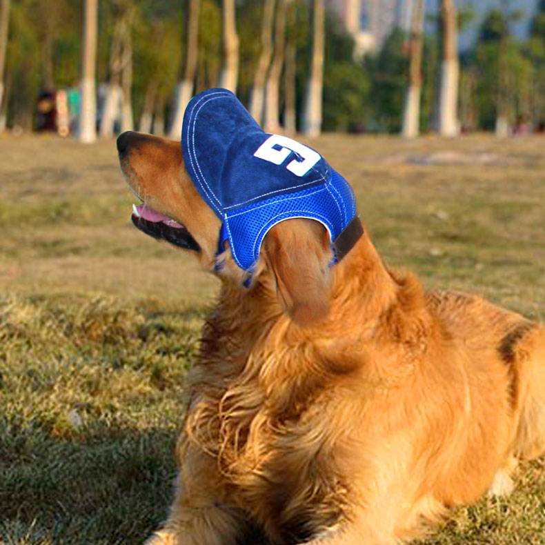 Cute dog hat Golden retriever Corgi Fa Doubi Barry Teddy small, medium large dog pet hat expresses ears