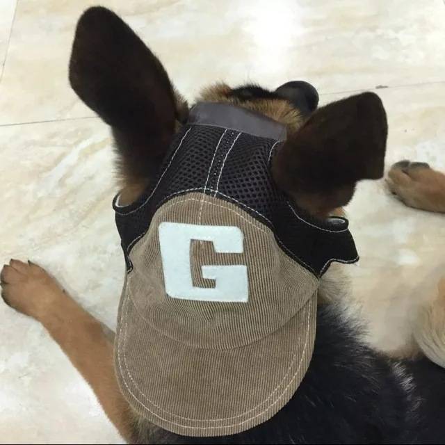 Cute dog hat Golden retriever Corgi Fa Doubi Barry Teddy small, medium large dog pet hat expresses ears