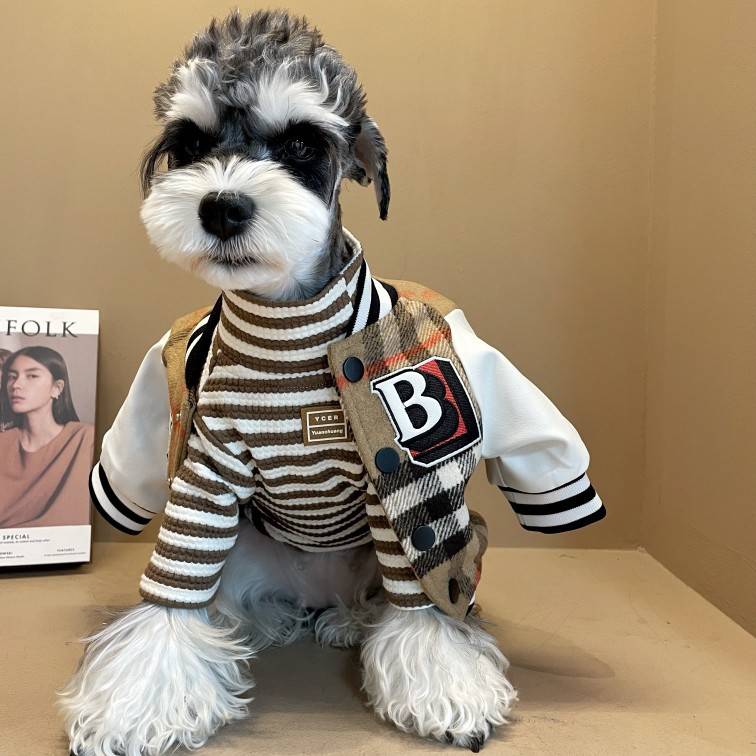 Puppy clothes in autumn and winter pets Sherry Teddy Bieki Kki Kki Kki Baseball Warm Holding Jacket Cotton Coat