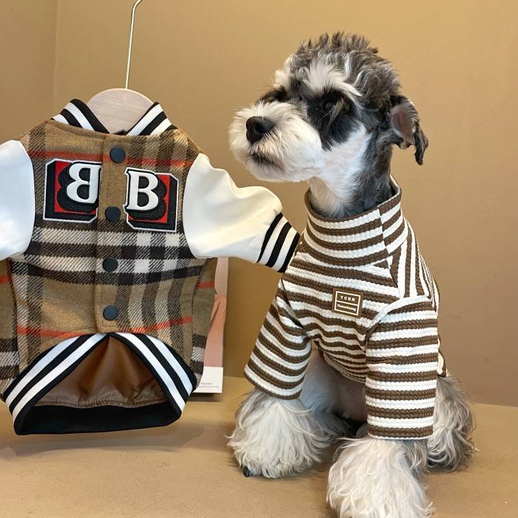 Puppy clothes in autumn and winter pets Sherry Teddy Bieki Kki Kki Kki Baseball Warm Holding Jacket Cotton Coat