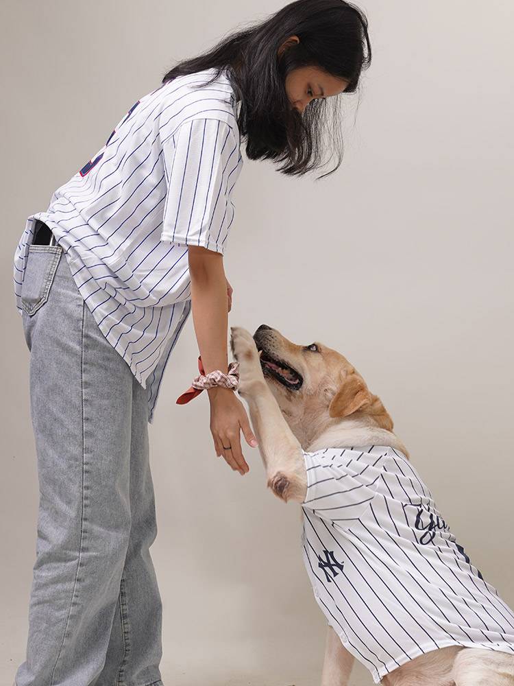 Pet small middle dog Teddy Shiba Inu golden retriever baseball uniform spring and summer breathable sports dog clothes buy 1 get 1 free