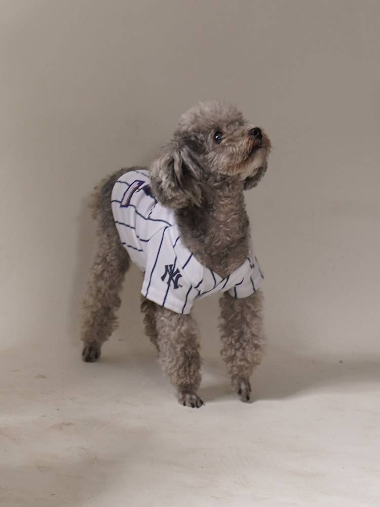 Pet small middle dog Teddy Shiba Inu golden retriever baseball uniform spring and summer breathable sports dog clothes buy 1 get 1 free