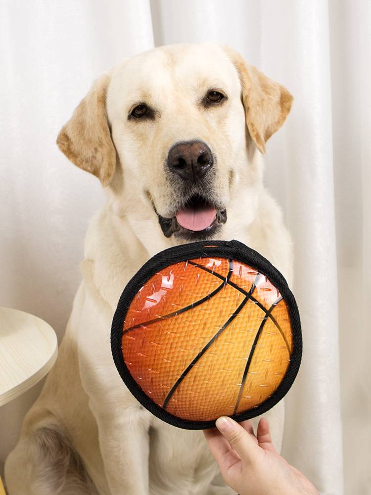 Dog pet supplies toy ball grinding teeth, bitter bite, unbuttonous football basketball golden hair Labrador large dog interaction