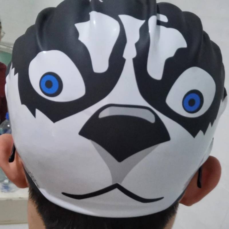 Husky Swimming Hat Erha Swimming Hat Men's Common Adult Boxitou High Elastic Cartoon Funny Penguin Swimming Hat