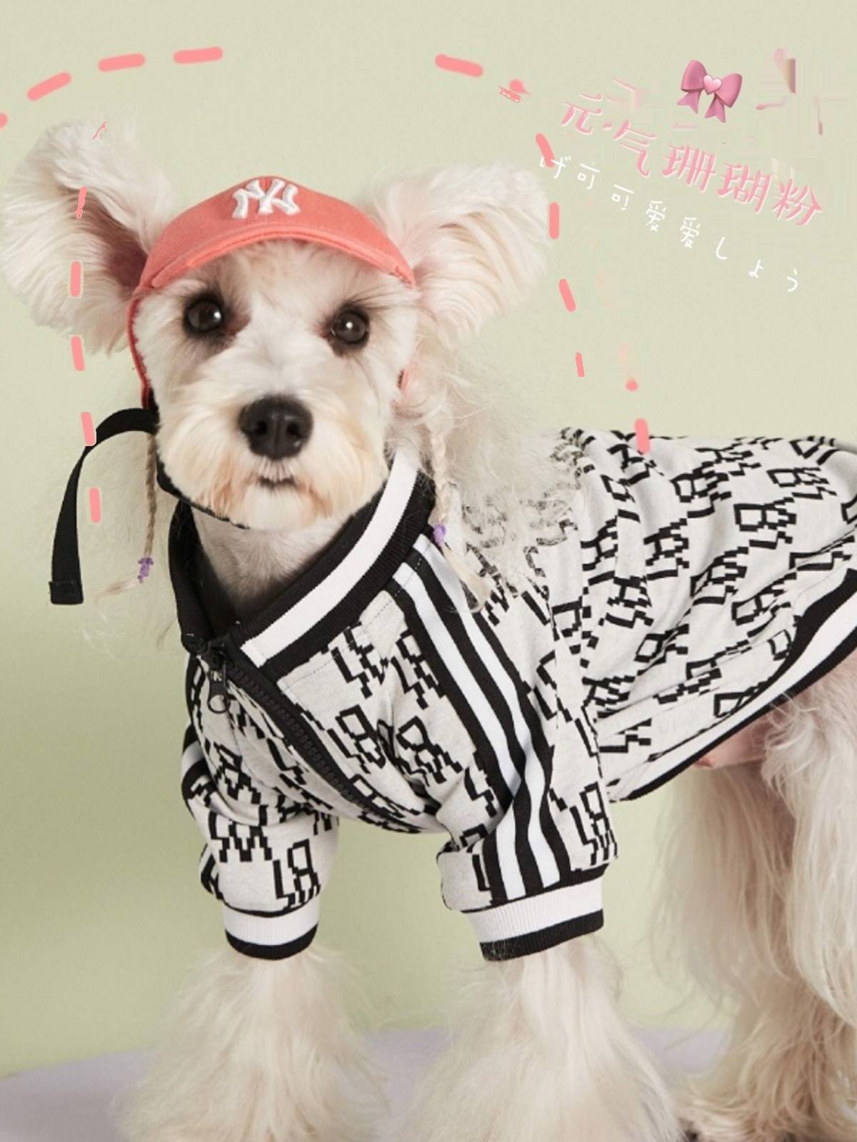 Korean pet hats, sunshields, teddy-pee-dog pets, cat hair