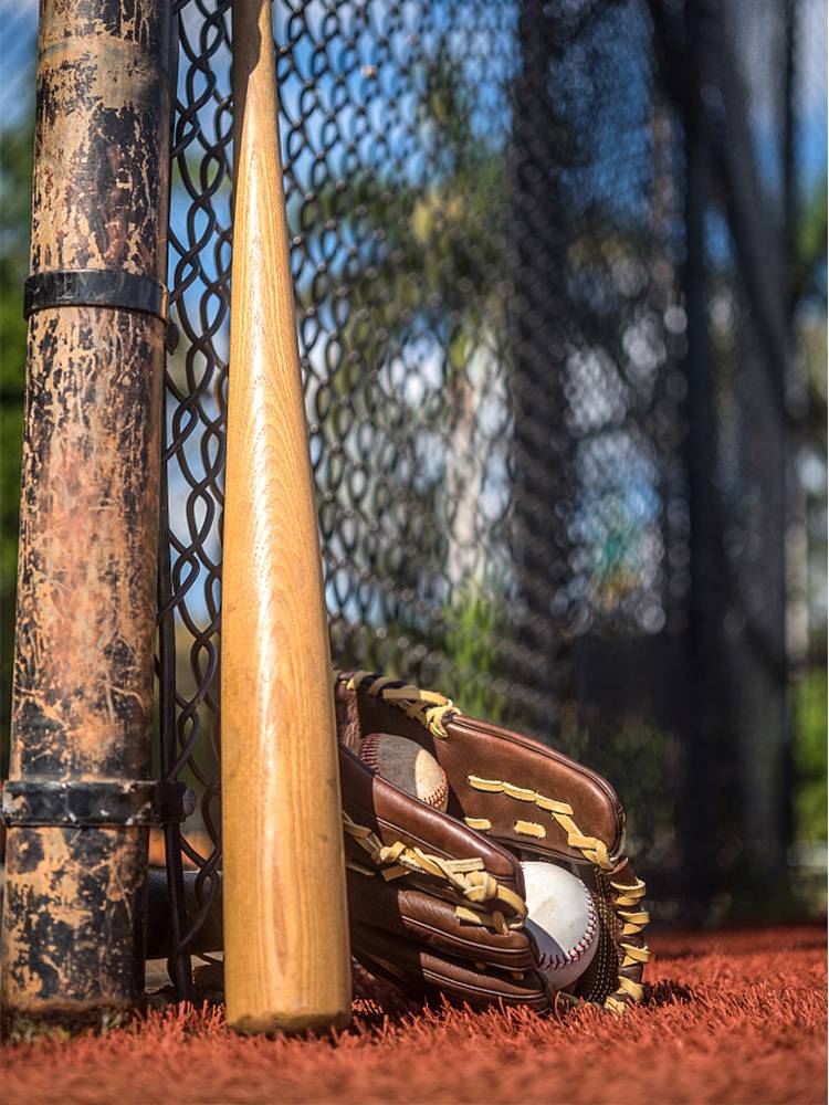 Professional competition professional STAR 28-32-inch baseball stick solid hardwood baseball stick baseball stick
