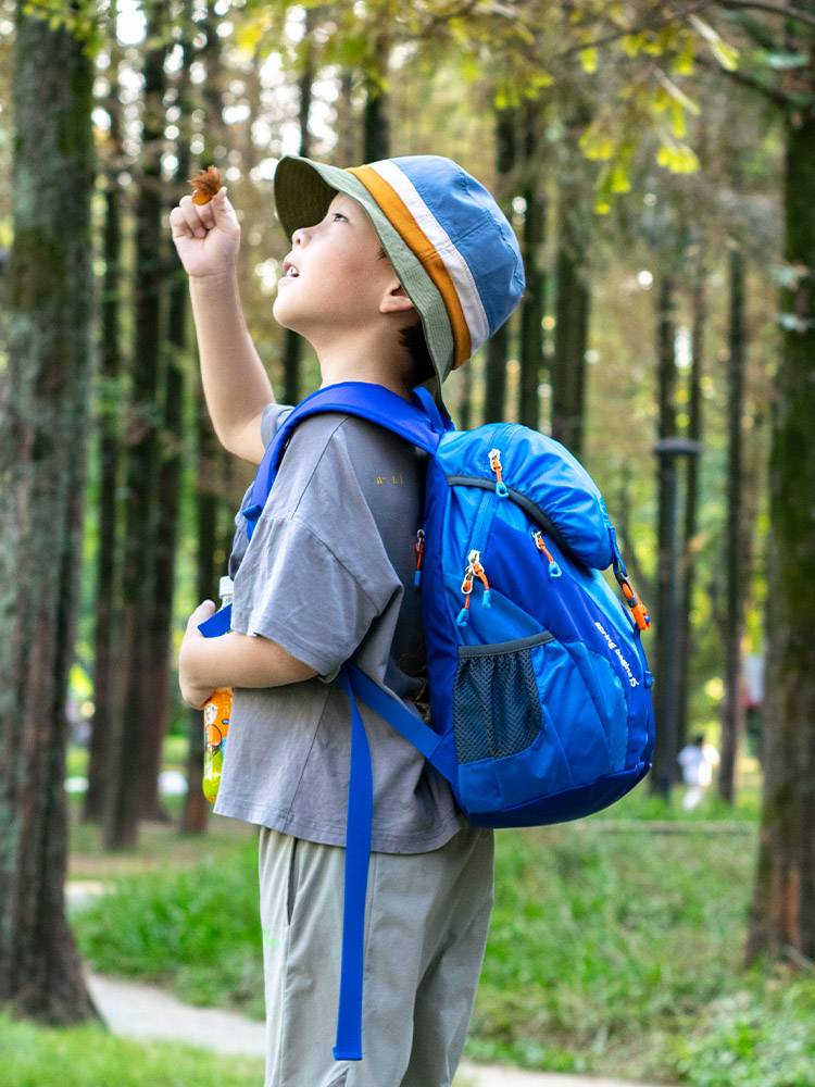 Children's Travel Backpack Boy Outdoor Light Backpack Traveling Boy Primary School Student School Bag Travel