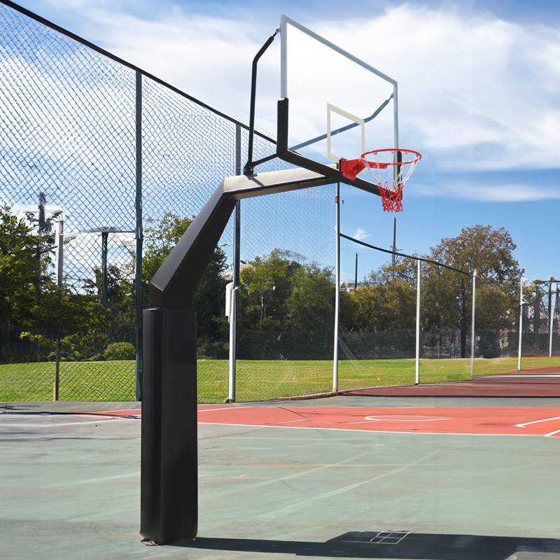 400 vertebrae plus cover cover buried basketball rack