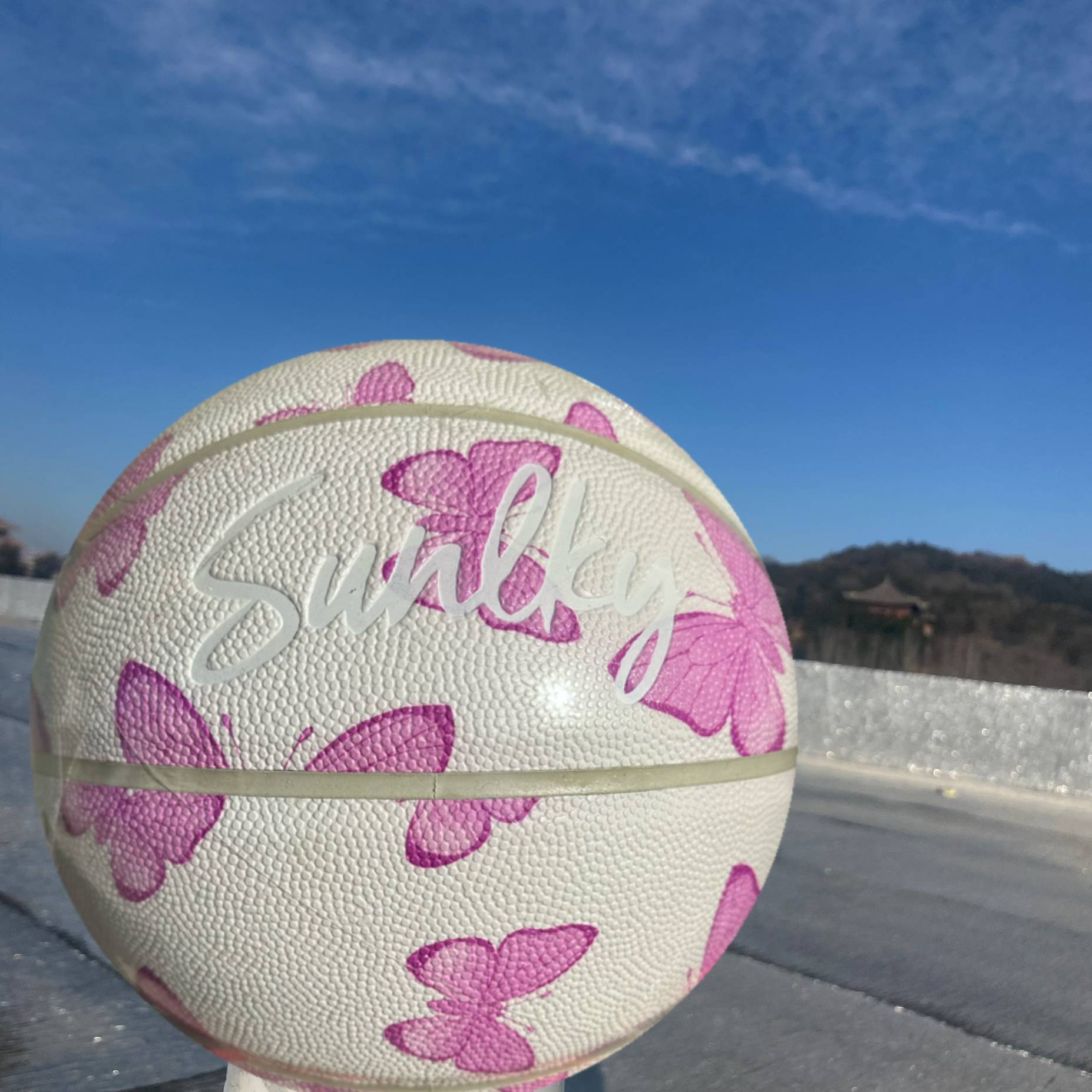 Genuine PU wear -resistant indoor and outdoor men and girls Gao Yan value No. 5 Children No. 6 Special Entrance Examination No. 7 Basketball Competition