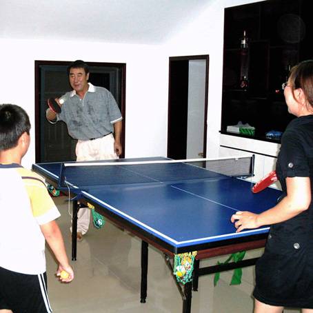 210 cubs table+240 table tennis desktop