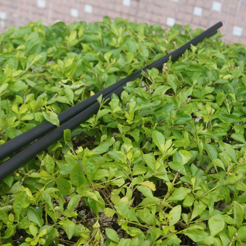 3/4 or 1/2 Carbon Fiber Snooker and billiard cue pool cue manufacturer